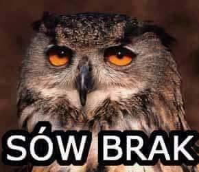 Obrazek