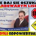 głosuj odpowiedzialnie