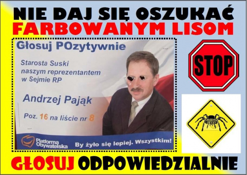 głosuj odpowiedzialnie