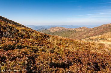 Kto nie dotknął Bukowego, jesienią, ni razu, ten nigdy nie czuł się jak w niebie. #Bieszczady #Bukowe #Berdo #jesień #góry