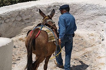 #ludzie#Grecja#zwierzęta