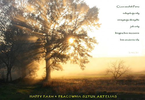 Happy Farm ARTELIAS
