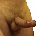 penis