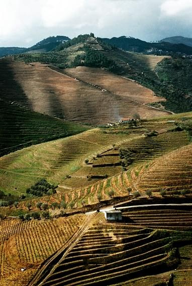 Douro Valley