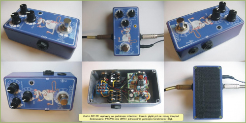 ProCat-RAT-DIY